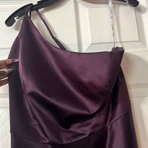 I’m selling this Pulm purple dress from David’s Bridal. It’s a size 18.